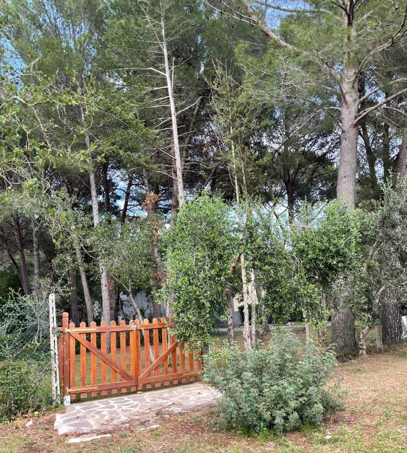 Agriturismo Podere Campalto Campiglia Marittima Exterior foto