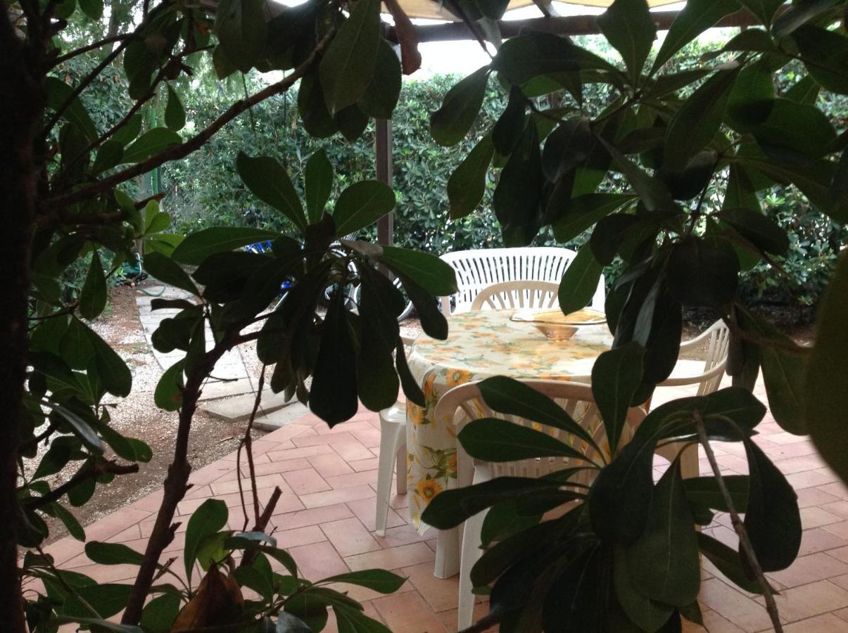 Agriturismo Podere Campalto Campiglia Marittima Exterior foto